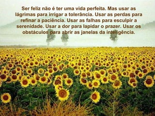 Ser feliz não é ter uma vida perfeita. Mas usar as lágrimas para irrigar a tolerância. Usar as perdas para refinar a paciência. Usar as falhas para esculpir a serenidade. Usar a dor para lapidar o prazer. Usar os obstáculos para abrir as janelas da inteligência. Ser feliz não é ter uma vida perfeita. Mas usar as lágrimas para irrigar a tolerância. Usar as perdas para refinar a paciência. Usar as falhas para esculpir a serenidade. Usar a dor para lapidar o prazer. Usar os obstáculos para abrir as janelas da inteligência. 