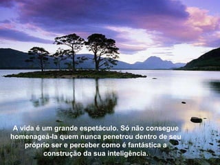 Não estás deprimido, estás distraído … Distraído em relação à vida que te preenche,.. Distraído em relação à vida que te rodeia -  Golfinhos, bosques, mares, montanhas, rios. A vida é um grande espetáculo. Só não consegue homenageá-la quem nunca penetrou dentro de seu próprio ser e perceber como é fantástica a construção da sua inteligência. 