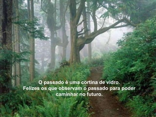 Não estás deprimido, estás distraído. Por isso acreditas que perdeste algo, o que é impossível, porque tudo te foi dado.  Não fizeste um só cabelo de tua cabeça, portanto não és dono de coisa alguma.   O passado é uma cortina de vidro. Felizes os que observam o passado para poder caminhar no futuro. 