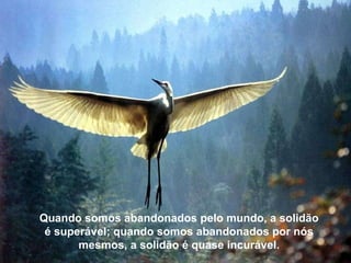 Além disso, a vida não te tira coisas: te liberta de coisas… alivia-te para que possas voar mais alto, para que alcances a plenitude.  Quando somos abandonados pelo mundo, a solidão é superável; quando somos abandonados por nós mesmos, a solidão é quase incurável. 