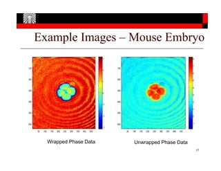 Accelarating Optical Quadrature Microscopy Using GPUs