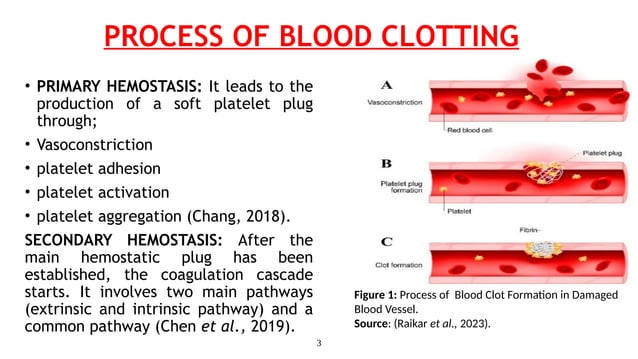 Biochemical Mechanism of blood clotting and their relevance | PPT