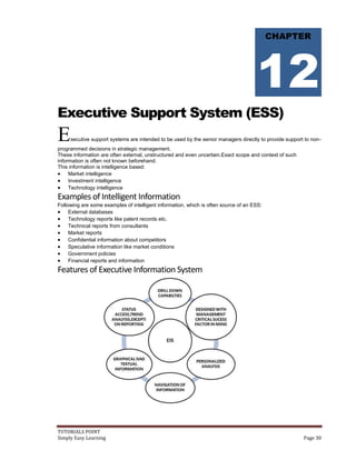 Executive Support System Example Mis tutorial | PDF