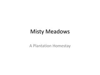Misty Meadows
A Plantation Homestay
 