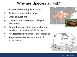 Why are Species at Risk?
1. Narrow Niche – Highly Adapted
2. Restricted geographic range
3. Small populations
4. Low repro...