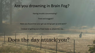 Are you drowning in Brain Fog?
Having trouble concentrating?
Tired and sluggish?
Have you found that your get up and go got up and went?
Instead of getting out of bed ready to attack the day…
Does the day attack you?
 