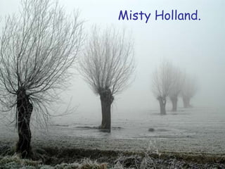 Misty Holland. 