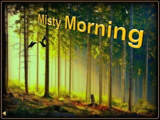 Misty morning (v.m.)