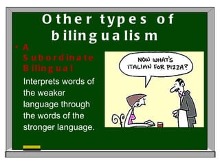 Other types of bilingualism  A Subordinate Bilingual Interprets words of the weaker language through the words of the stronger language. 