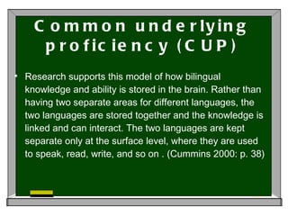 Common underlying proficiency (CUP) Research supports this model of how bilingual knowledge and ability is stored in the brain. Rather than having two separate areas for different languages, the two languages are stored together and the knowledge is linked and can interact. The two languages are kept separate only at the surface level, where they are used to speak, read, write, and so on .  (Cummins 2000: p. 38) 