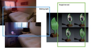 Waking Light
Forget-me-not
SOURCE:TianSheng
 