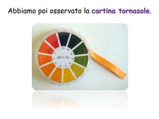 Abbiamo poi osservato la cartina tornasole.
 