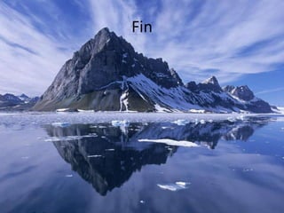 Fin
 