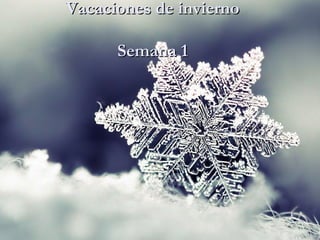 Vacaciones de inviernoVacaciones de invierno
Semana 1Semana 1
 