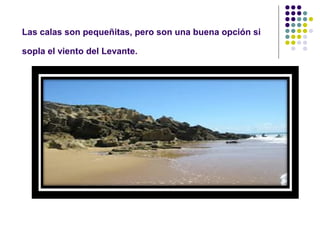 Las calas son pequeñitas, pero son una buena opción si 
sopla el viento del Levante. 
 