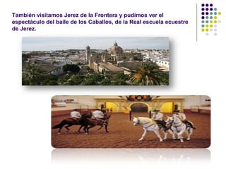 También visitamos Jerez de la Frontera y pudimos ver el 
espectáculo del baile de los Caballos, de la Real escuela ecuestre 
de Jerez. 
 