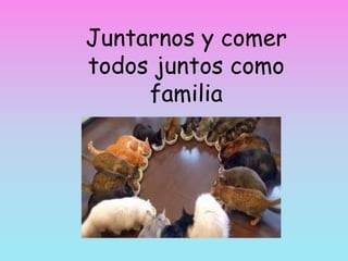 Juntarnos y comer
todos juntos como
familia
 