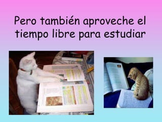 Pero también aproveche el
tiempo libre para estudiar
 