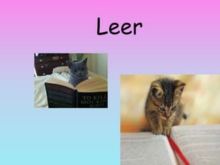 Leer
 