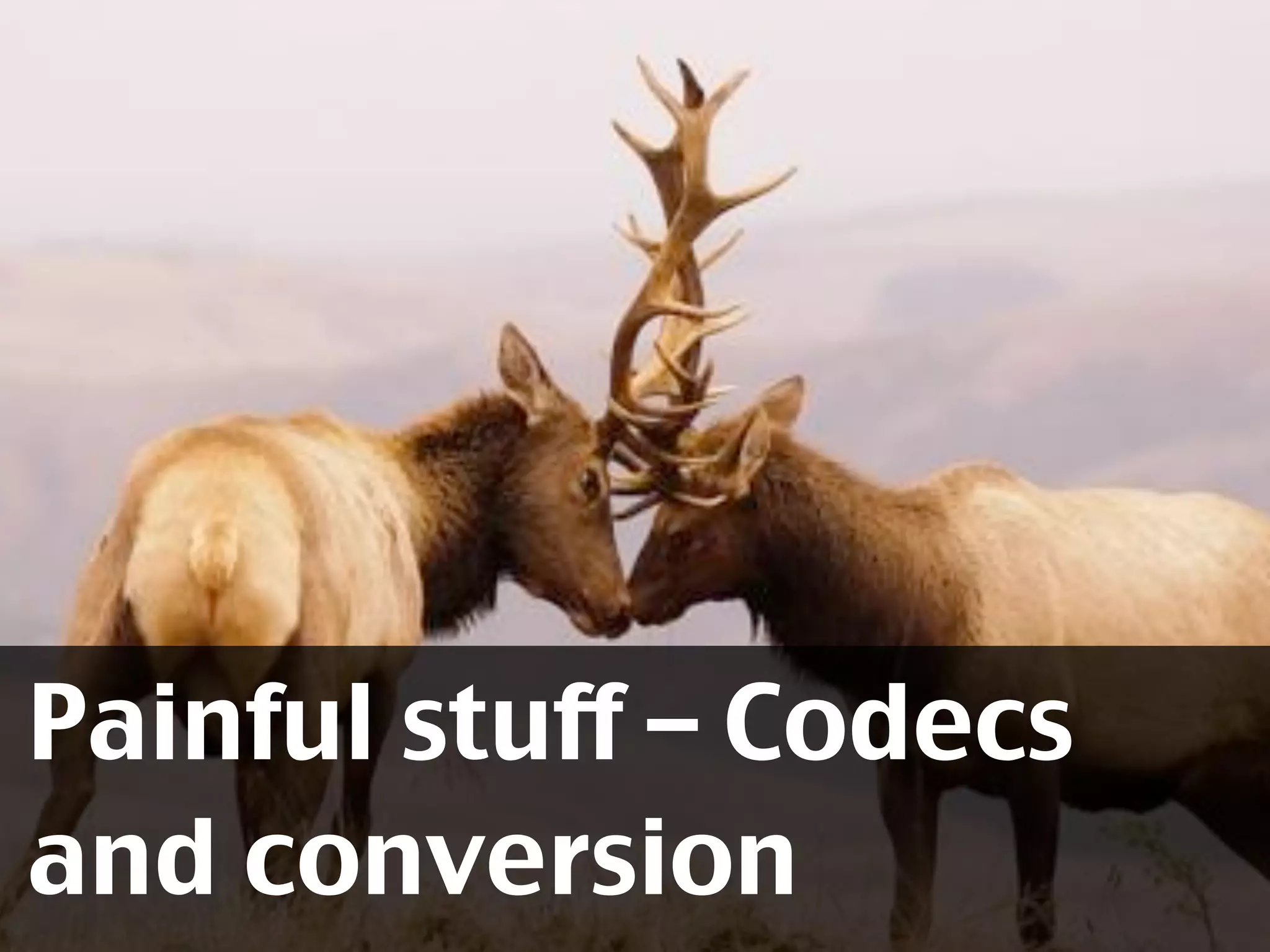Painful stuff – Codecs
and conversion
 