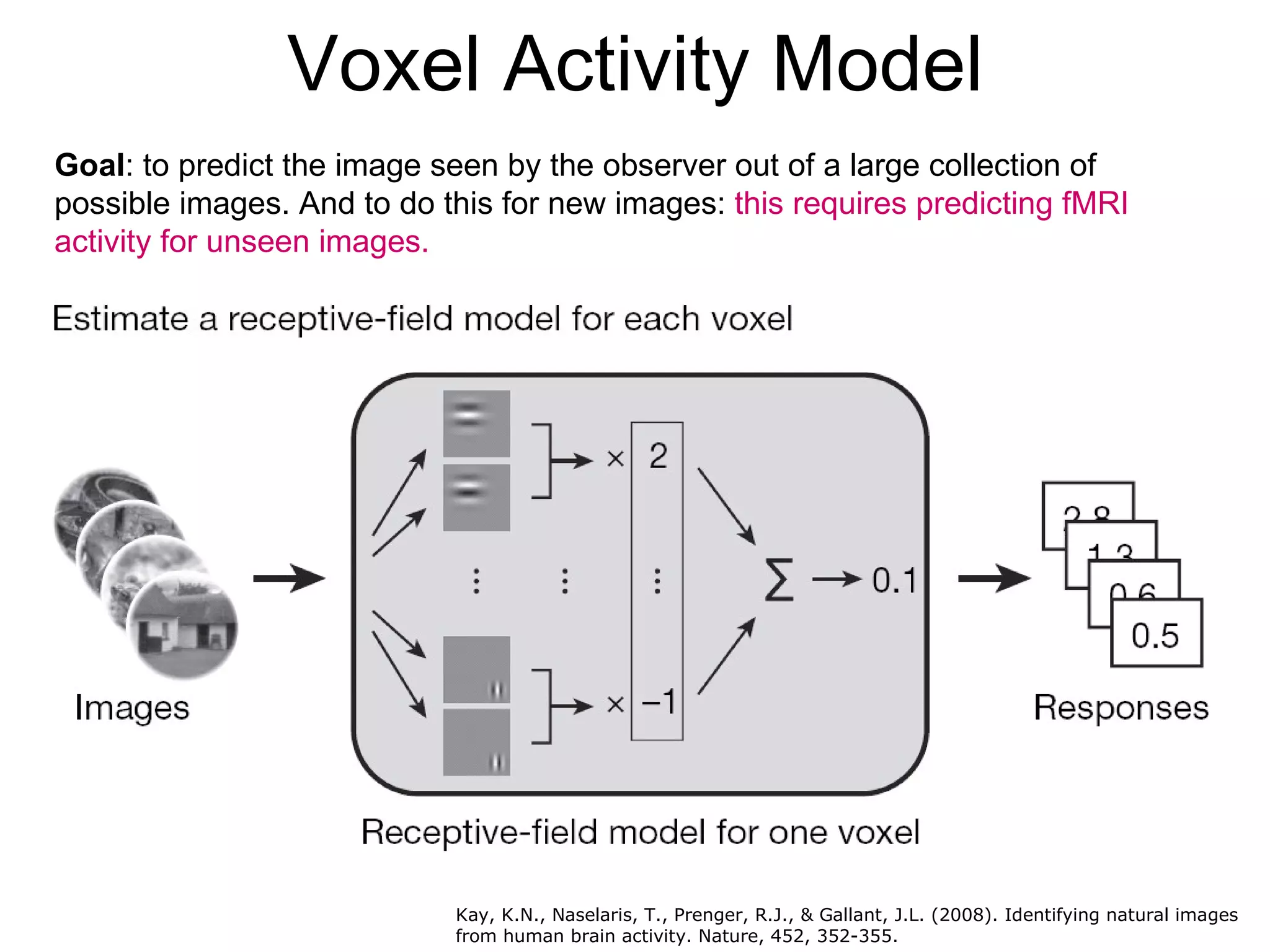 Voxel Activity Model Goal : to predict the image seen by the observer out of a large collection of possible images. And to do this for new images:  this requires predicting fMRI activity for unseen images. Kay, K.N., Naselaris, T., Prenger, R.J., & Gallant, J.L. (2008). Identifying natural images from human brain activity. Nature, 452, 352-355.   