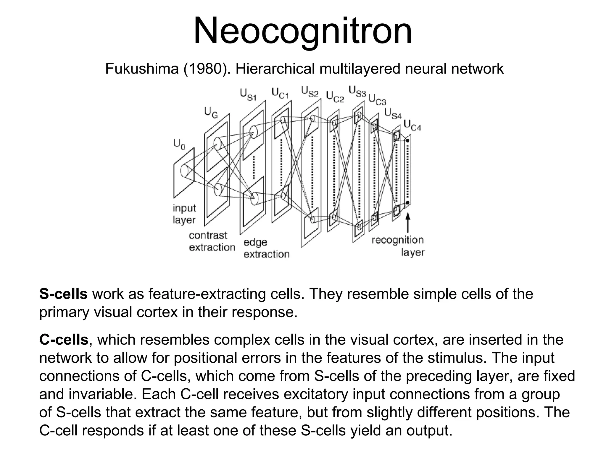 Neocognitron Fukushima (1980). Hierarchical multilayered neural network   S-cells  work as feature-extracting cells. They resemble simple cells of the primary visual cortex in their response.  C-cells , which resembles complex cells in the visual cortex, are inserted in the network to allow for positional errors in the features of the stimulus. The input connections of C-cells, which come from S-cells of the preceding layer, are fixed and invariable. Each C-cell receives excitatory input connections from a group of S-cells that extract the same feature, but from slightly different positions. The C-cell responds if at least one of these S-cells yield an output.   