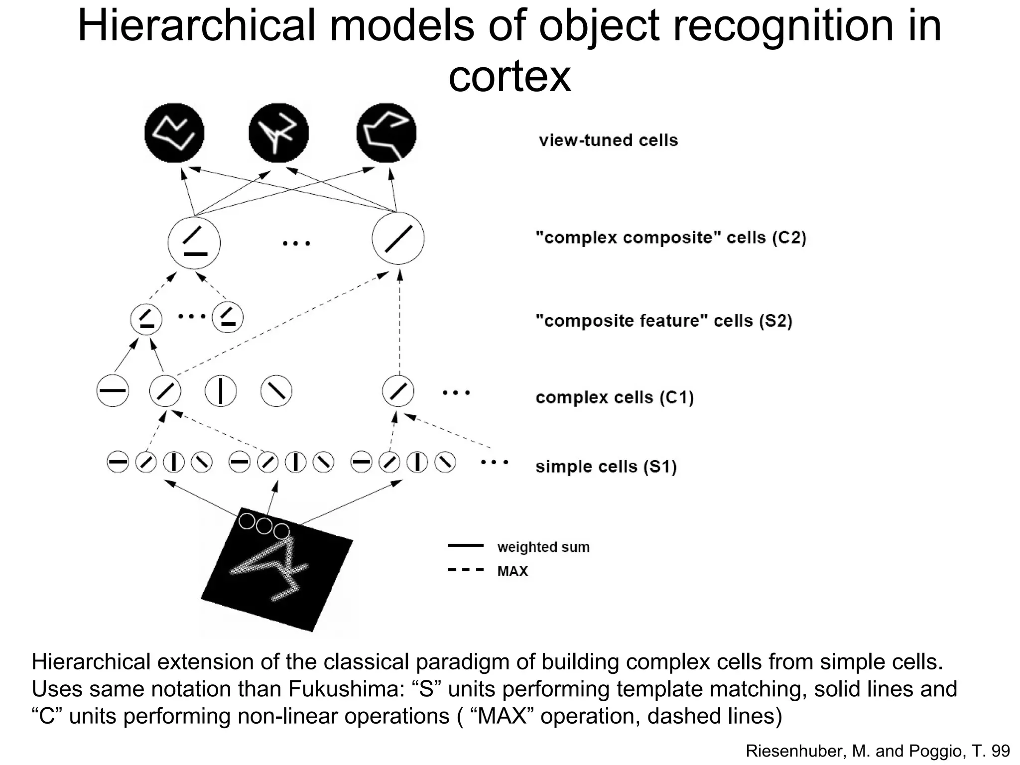 Hierarchical models of object recognition in cortex Hierarchical extension of the classical paradigm of building complex cells from simple cells. Uses same notation than Fukushima: “S” units performing template matching, solid lines and “C” units performing non-linear operations ( “MAX” operation, dashed lines) Riesenhuber, M. and Poggio, T. 99 