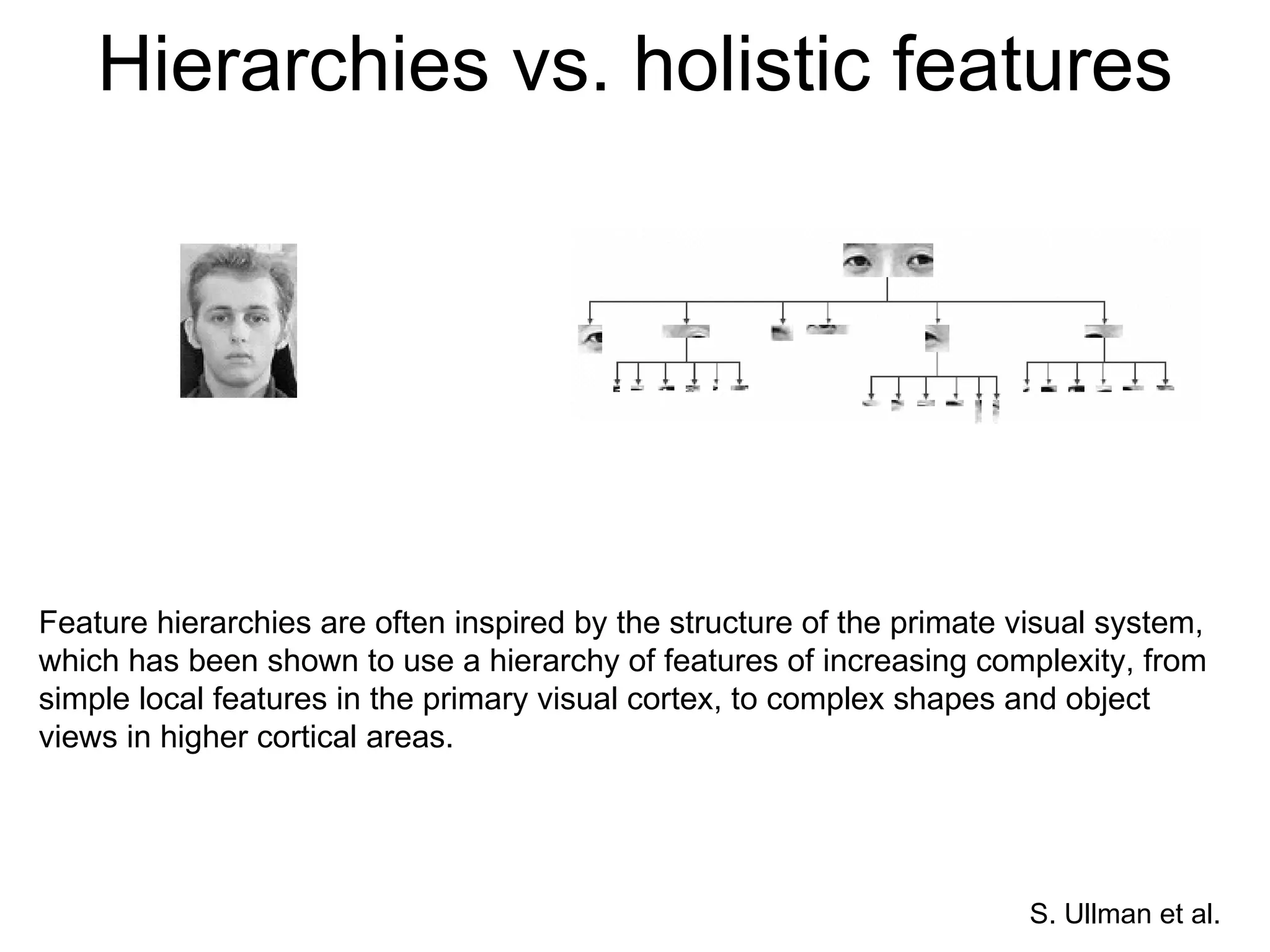 Hierarchies vs. holistic features Feature hierarchies are often inspired by the structure of the primate visual system, which has been shown to use a hierarchy of features of increasing complexity, from simple local features in the primary visual cortex, to complex shapes and object views in higher cortical areas. S. Ullman et al. 