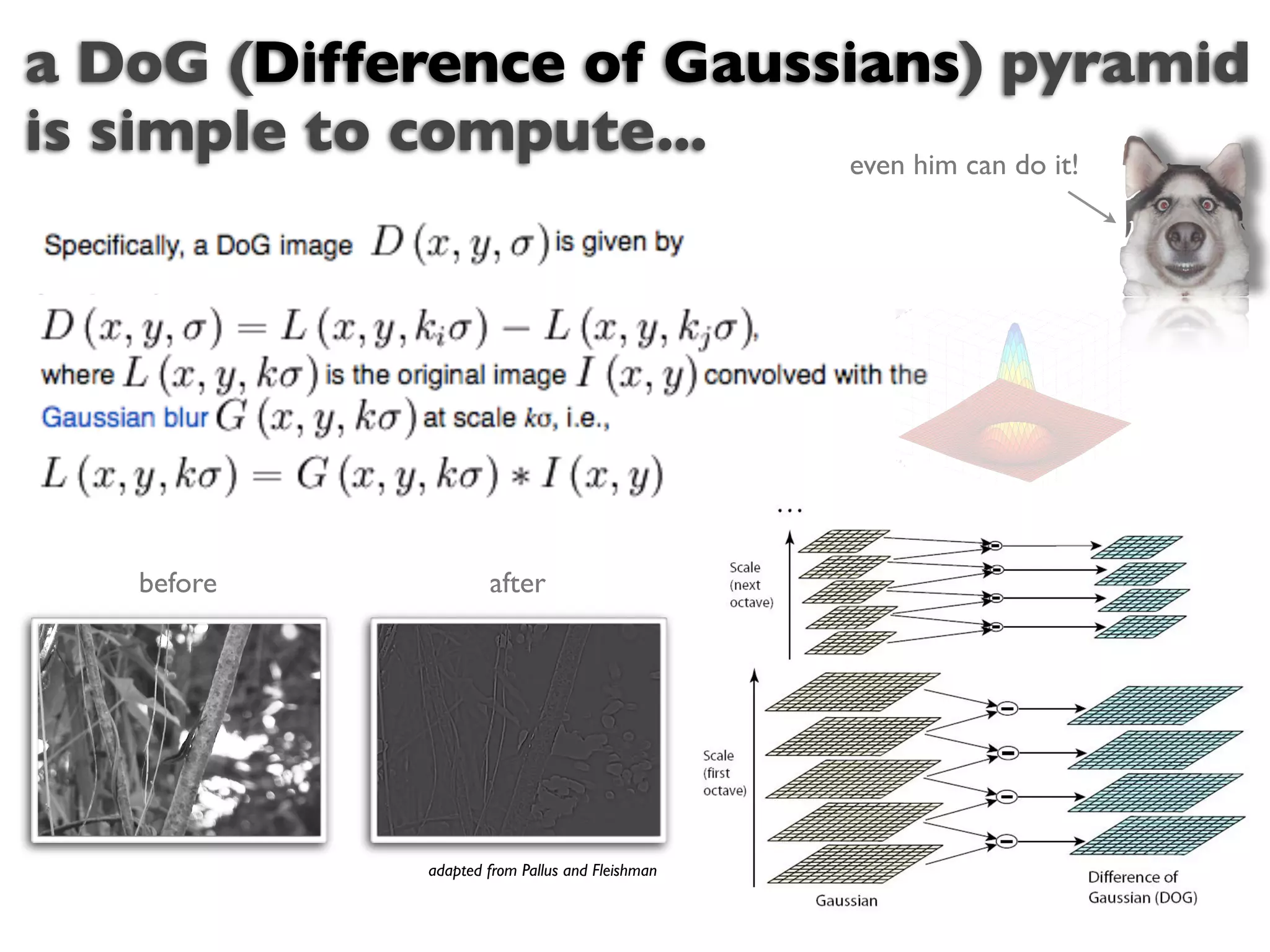 a DoG (Difference of Gaussians) pyramid
is simple to compute...   even him can do it!




    before            after




              adapted from Pallus and Fleishman
 
