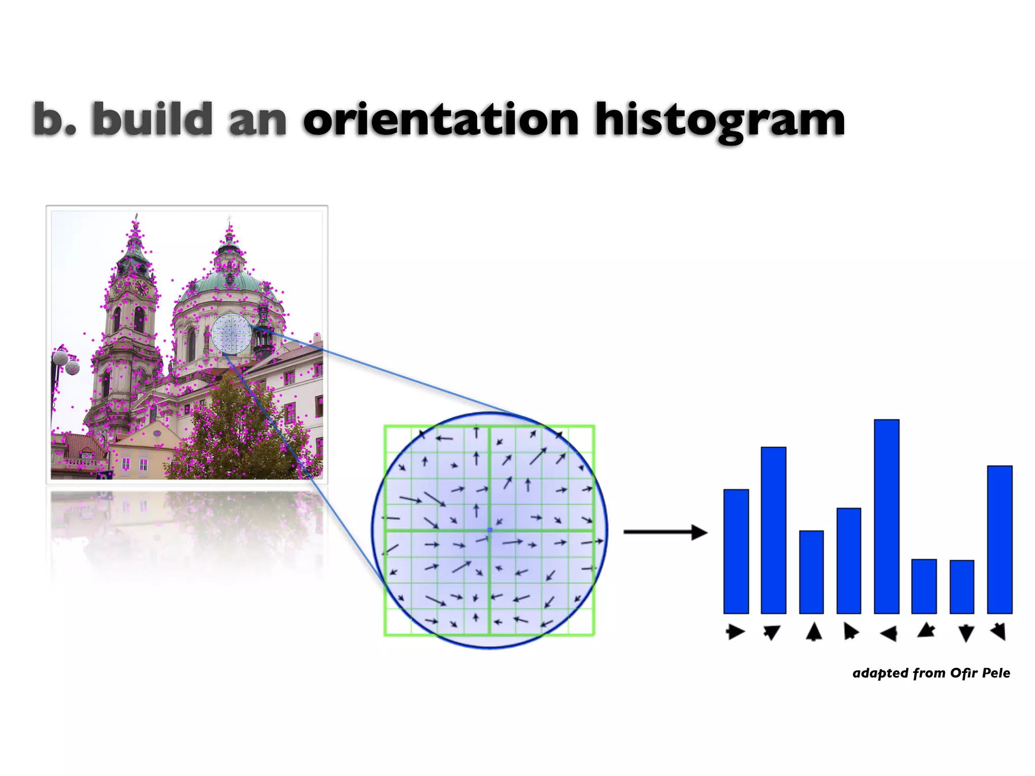 b. build an orientation histogram




                                    adapted from Oﬁr Pele
 