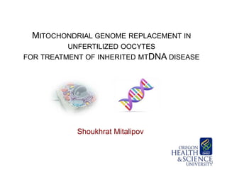 MITOCHONDRIAL GENOME REPLACEMENT IN 
UNFERTILIZED OOCYTES 
FOR TREATMENT OF INHERITED MTDNA DISEASE 
Shoukhrat Mitalipov 
1 
 