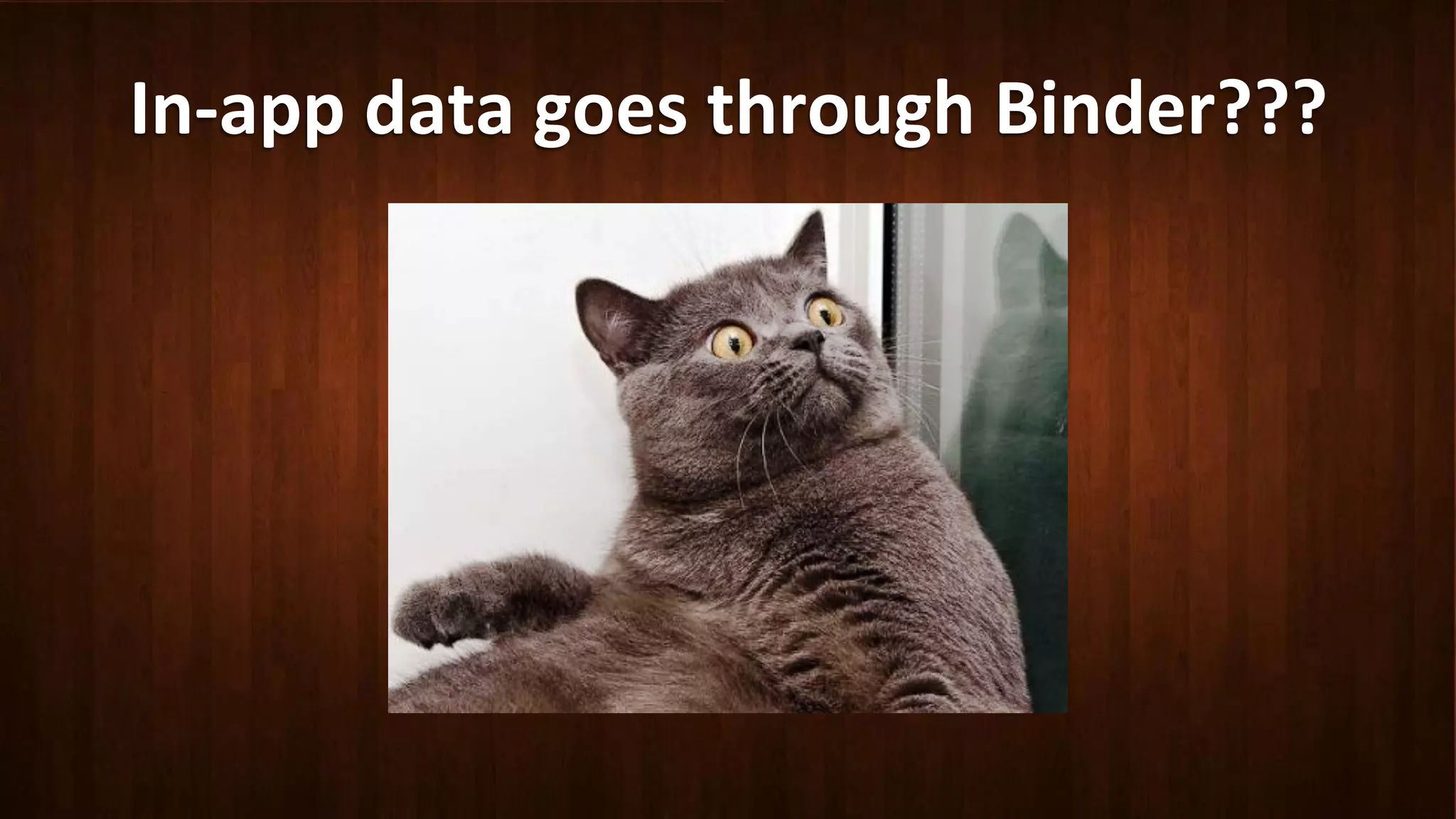 In-­‐app	
  data	
  goes	
  through	
  Binder???	
  
 