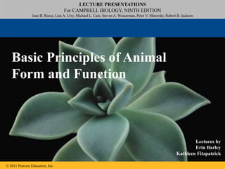 LECTURE PRESENTATIONS
For CAMPBELL BIOLOGY, NINTH EDITION
Jane B. Reece, Lisa A. Urry, Michael L. Cain, Steven A. Wasserman, Peter V. Minorsky, Robert B. Jackson
© 2011 Pearson Education, Inc.
Lectures by
Erin Barley
Kathleen Fitzpatrick
Basic Principles of Animal
Form and Function
 