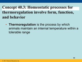 Concept 40.3: Homeostatic processes for
thermoregulation involve form, function,
and behavior
• Thermoregulation is the process by which
animals maintain an internal temperature within a
tolerable range
© 2011 Pearson Education, Inc.
86
 