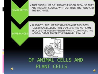    OF ANIMAL CELLS AND  PLANT CELLS 