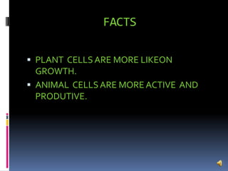 FACTSPLANT  CELLS ARE MORE LIKEON GROWTH.ANIMAL  CELLS ARE MORE ACTIVE  AND PRODUTIVE.