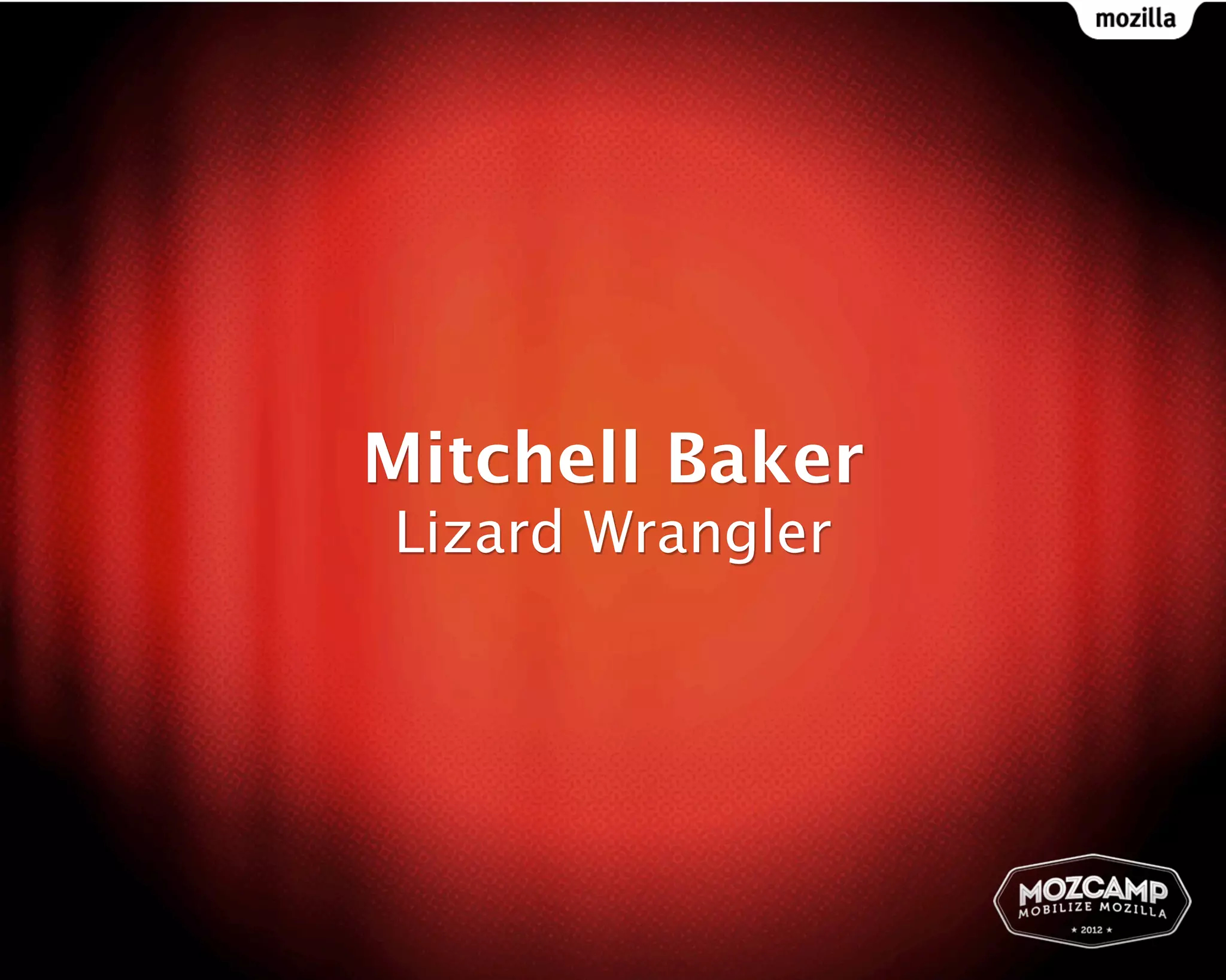 Mitchell Baker
Lizard Wrangler
 