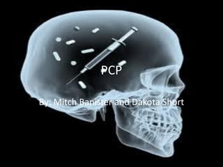 PCP

By: Mitch Banister and Dakota Short
 