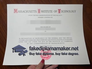 MIT degree