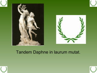 Tandem Daphne in laurum mutat.  