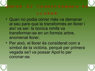 Dafne es transformada en llorer Quan no podia còrrer més va demanar al seu pare que la transformés en llorer i així va ser: la bonica nimfa va transformar-se en un formós arbre, anomenat llorer.  Per això, el llorer és considerat com a símbol de la victòria, perquè per primera vegada se’l va possar Apol·lo per coronar-se. 
