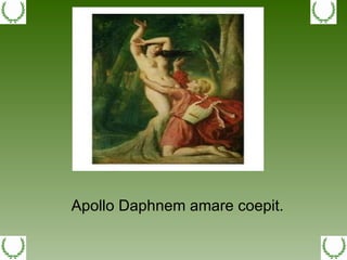 Apollo Daphnem amare coepit. 