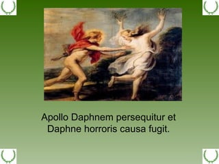 Apollo Daphnem persequitur et Daphne horroris causa fugit. 