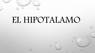 EL HIPOTALAMO
 
