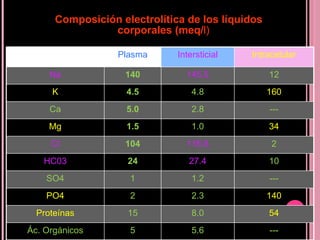 Composición electrolítica de los líquidos corporales (meq/ l) Plasma Intersticial Intracelular Na 140 145.5 12 K 4.5 4.8 160 Ca 5.0 2.8 --- Mg 1.5 1.0 34 Cl 104 116.6 2 HC03 24 27.4 10 SO4 1 1.2 --- PO4 2 2.3 140 Proteínas 15 8.0 54 Ác. Orgánicos 5 5.6 --- 