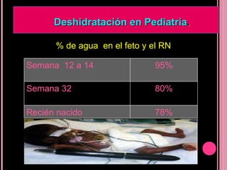 % de agua  en el feto y el RN Deshidratación en Pediatría . Semana  12 a 14 95% Semana 32 80% Recién nacido 78% 