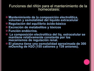 Funciones del riñón para el mantenimiento de la homeostasis: Mantenimiento de la composición electrolítica, volumen y osmolalidad del líquido extracelular Regulación del equilibrio ácido-básico Excreción de metabolitos y tóxicos Función endócrina. La composición electrolítica del líq. extracelular se mantiene relativamente constante por los mecanismos de regulación renal. El plasma tiene una osmolalidad aproximada de 300 mOsm/kg de H2O (155 cationes y 139 aniones). 