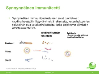 Synnynnäinen immuniteetti
• Synnynnäisen immuunipuolustuksen solut tunnistavat
taudinaiheuttajiin liittyviä yhteisiä rakenteita, kuten bakteerien
soluseinän osia ja sokerirakenteita, jotka poikkeavat elimistön
omista rakenteista.
Syöjäsolu
- Tunnistaa ja poistaa
taudinaiheuttajan
12.6.2017 Merit Melin/ THL 10
 