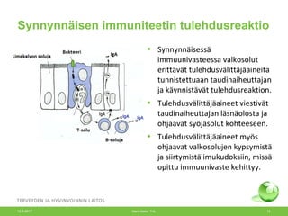 Synnynnäisen immuniteetin tulehdusreaktio
• Synnynnäisessä
immuunivasteessa valkosolut
erittävät tulehdusvälittäjäaineita
tunnistettuaan taudinaiheuttajan
ja käynnistävät tulehdusreaktion.
• Tulehdusvälittäjäaineet viestivät
taudinaiheuttajan läsnäolosta ja
ohjaavat syöjäsolut kohteeseen.
• Tulehdusvälittäjäaineet myös
ohjaavat valkosolujen kypsymistä
ja siirtymistä imukudoksiin, missä
opittu immuunivaste kehittyy.
12.6.2017 Merit Melin/ THL 15
 