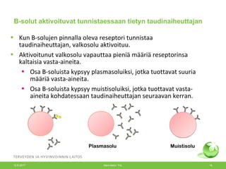 B-solut aktivoituvat tunnistaessaan tietyn taudinaiheuttajan
• Kun B-solujen pinnalla oleva reseptori tunnistaa
taudinaiheuttajan, valkosolu aktivoituu.
• Aktivoitunut valkosolu vapauttaa pieniä määriä reseptorinsa
kaltaisia vasta-aineita.
• Osa B-soluista kypsyy plasmasoluiksi, jotka tuottavat suuria
määriä vasta-aineita.
• Osa B-soluista kypsyy muistisoluiksi, jotka tuottavat vasta-
aineita kohdatessaan taudinaiheuttajan seuraavan kerran.
Plasmasolu Muistisolu
12.6.2017 Merit Melin/ THL 18
 